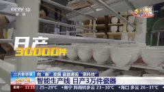 <b>陶瓷也有“基因库” 镂空工艺3D打印 景德镇还藏</b>